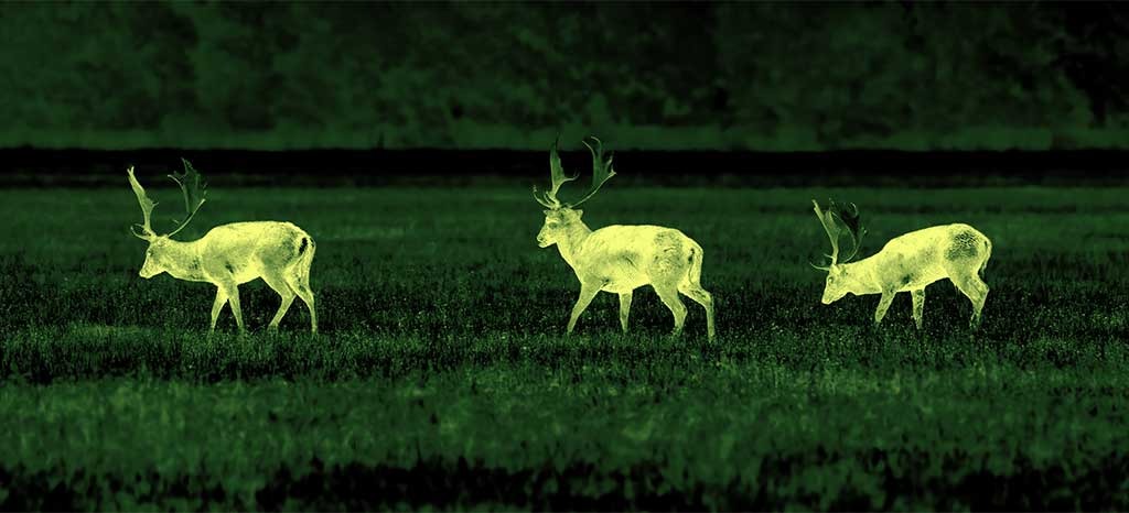 Nouvelle mise à jour du firmware pour KRYPTON 2 : Palette de couleurs vertes et plus de fonctionnalités utiles