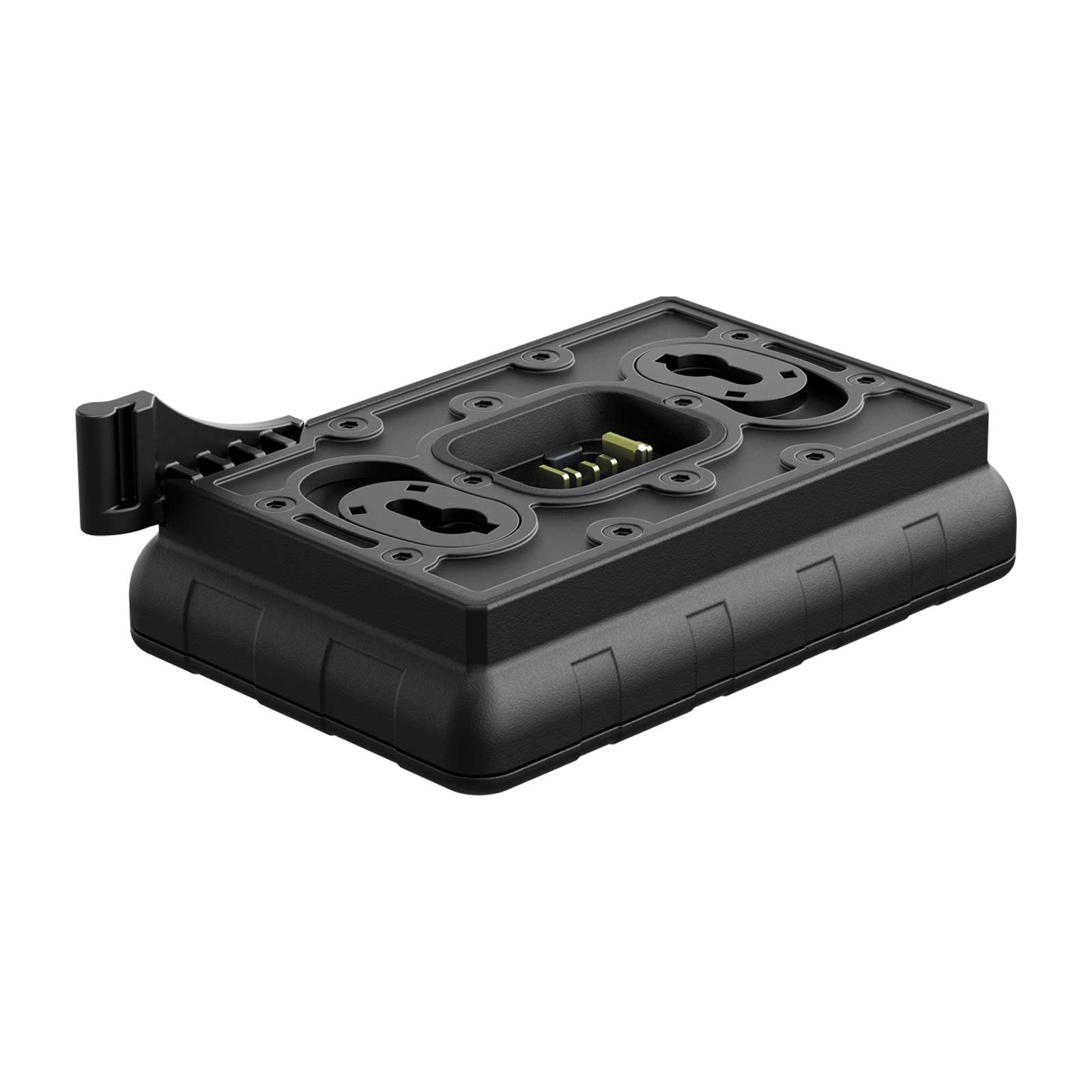 Chargeur pour batterie IPS