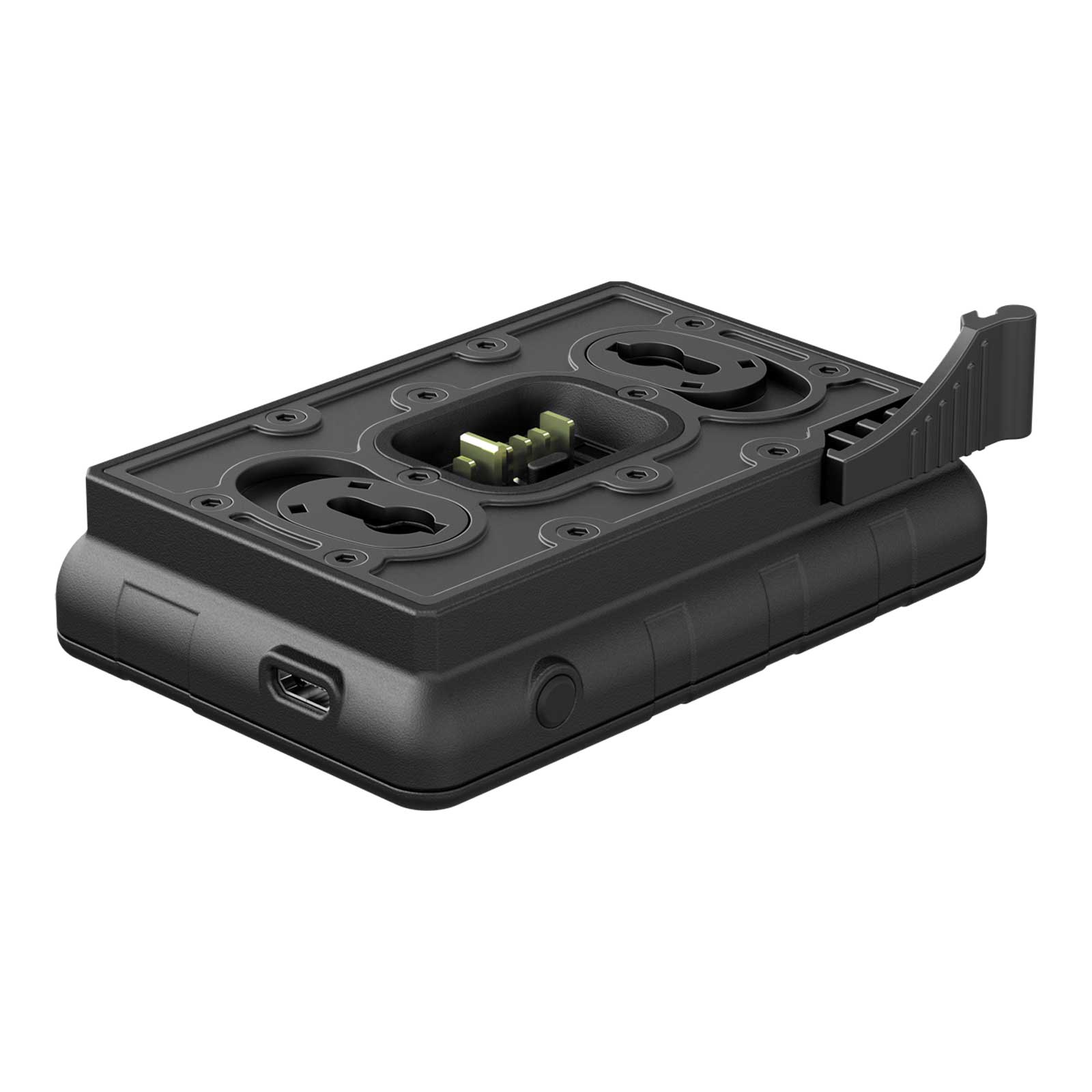 Chargeur pour batterie IPS