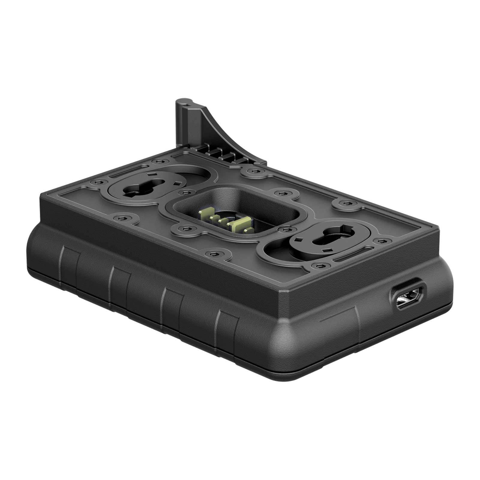 Chargeur pour batterie IPS